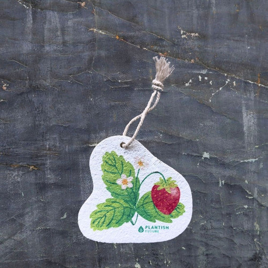 Strawberry Patch - Pop Up Sponge-0