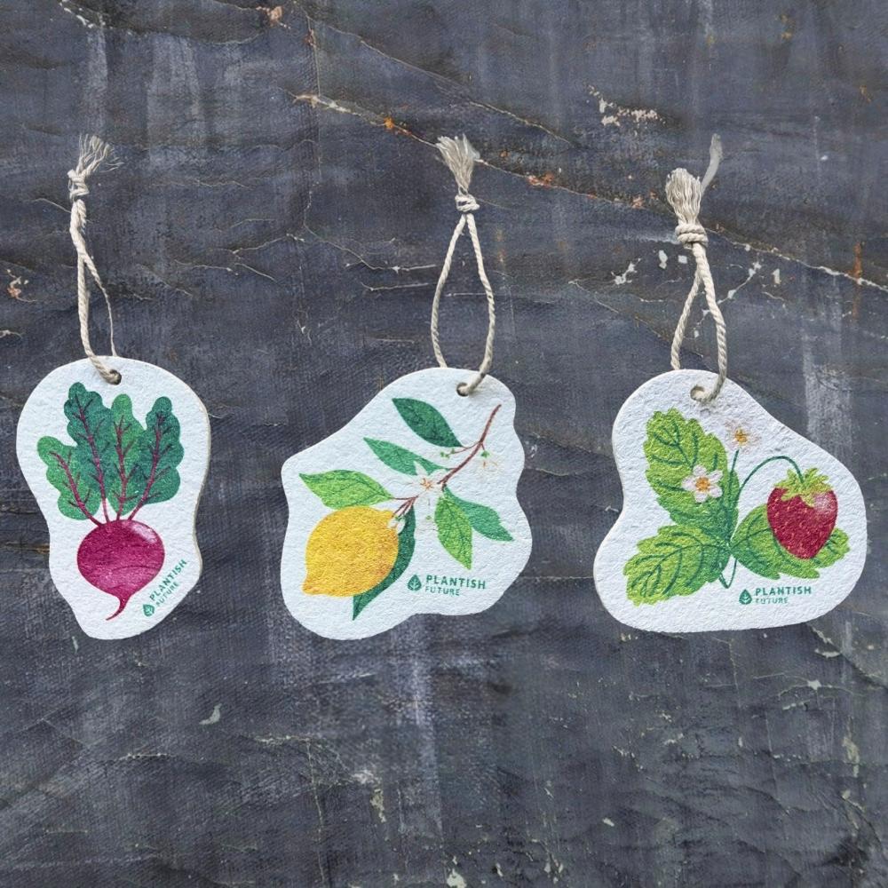 Strawberry Patch - Pop Up Sponge-1